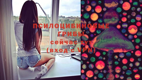 шишки Михайловка