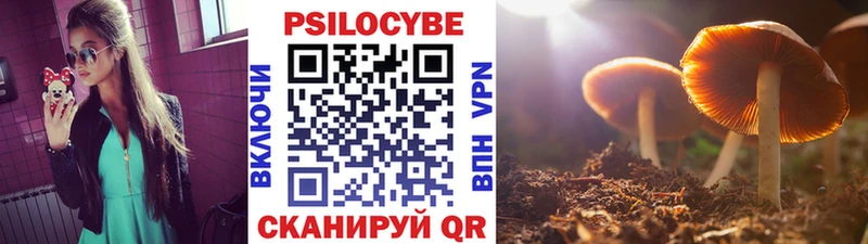 Псилоцибиновые грибы Cubensis  Мышкин 
